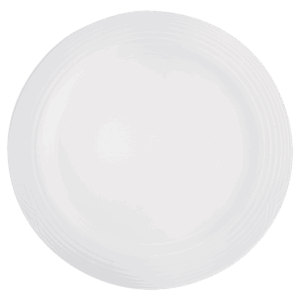 Arctic White Dinner Plate — Arctic White Dinner Plate