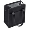 Alex Varga Birkdale 9-Can Cooler — Alex Varga Birkdale 9-Can Cooler