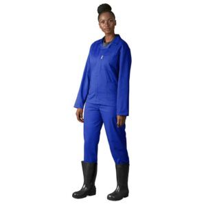 Alternative view of Budget Conti Suit