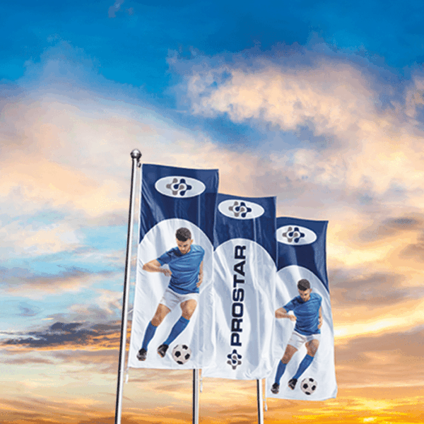 Corporate Flag Double Sided Digital