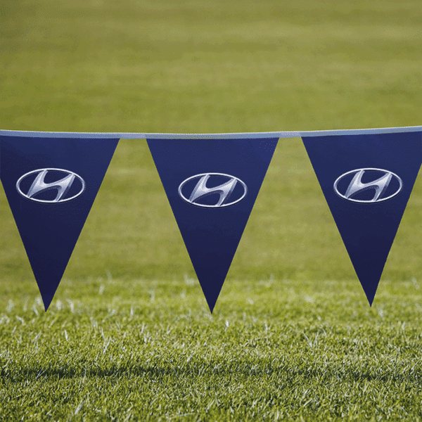 Pennants PVC Digital Single Sided Triangle