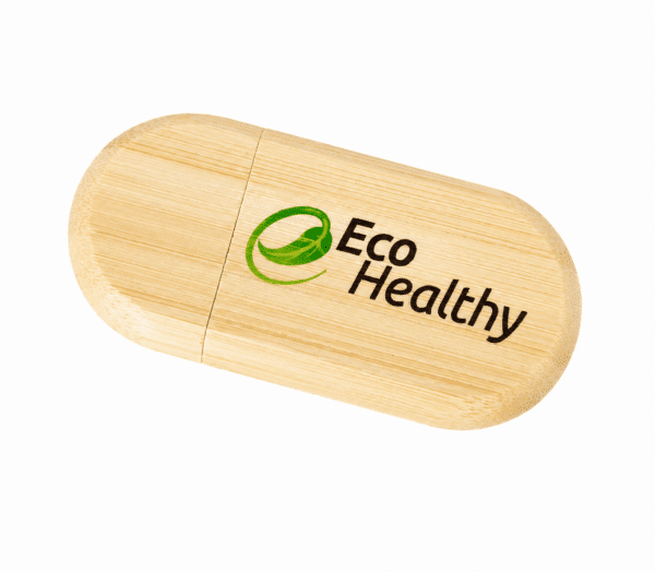 Eco-Bamboo-USB — AUTO-DRAFT