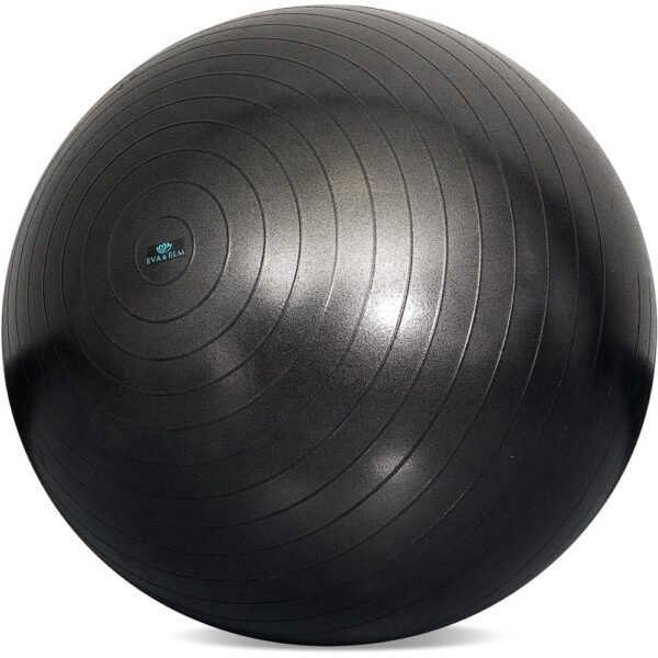 Eva & Elm Comet Anti-Burst Gym Ball — Eva & Elm Comet Anti-Burst Gym Ball