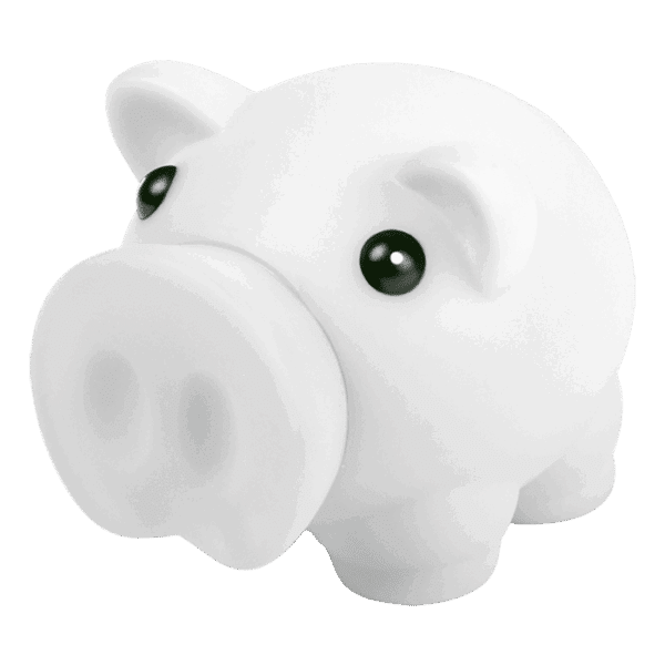 Money Box Donax — Money Box Donax