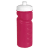 500ml Visiline Water Bottle — 500ml Visiline Water Bottle