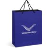 Altitude Omega Maxi Paper Gift Bag — Altitude Omega Maxi Paper Gift Bag