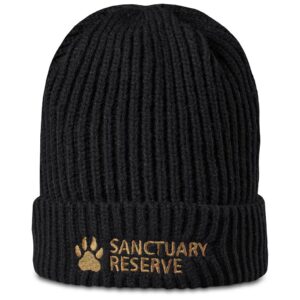 Arctic Acrylic Beanie