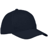 6 Panel Raven Cap — 6 Panel Raven Cap
