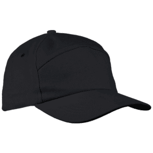 Alternative view of 6 Panel Carbon Cap
