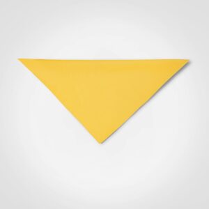 Plain Bandana — Plain Bandana