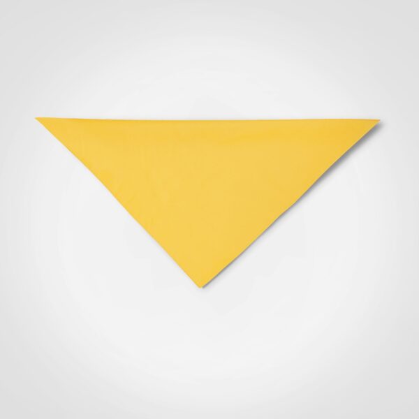 Plain Bandana — Plain Bandana