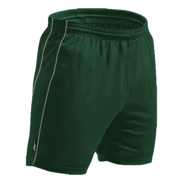 BRT Reflect Shorts — BRT Reflect Shorts