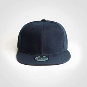Alternative view of Snapback