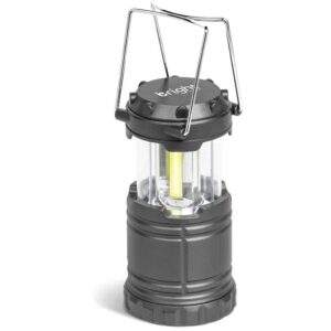 Torches and Lanterns