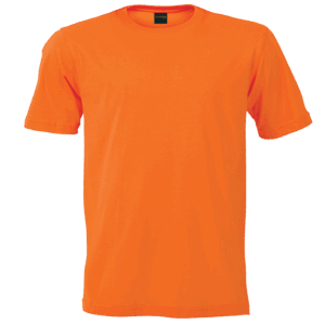 160g Barron Crew Neck T-Shirt — 160g Barron Crew Neck T-Shirt