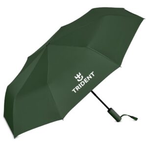 Serendipio Milestone Auto-Open Compact Umbrella - Image 3