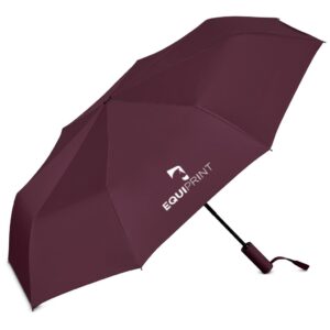 Serendipio Milestone Auto-Open Compact Umbrella - Image 6