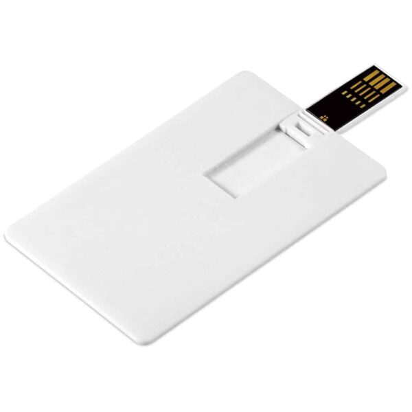 Altitude Picasso Flash Drive – 8GB — Altitude Picasso Flash Drive – 8GB