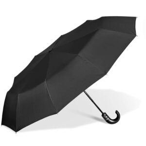 Alex Varga Zeus Auto-Open Compact Umbrella — Alex Varga Zeus Auto-Open Compact Umbrella