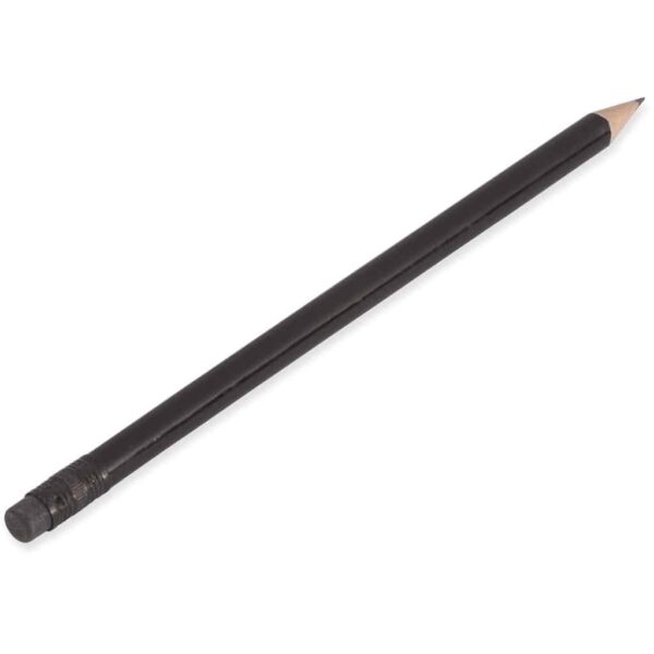 Altitude Brainiac Wooden Pencil — Altitude Brainiac Wooden Pencil