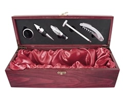 Wine Bottle Bar Set