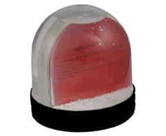 Alternative view of Picture Snow Globe