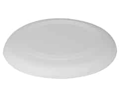 Alternative view of Frisbee