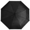 3-Fold Umbrella — 3-Fold Umbrella
