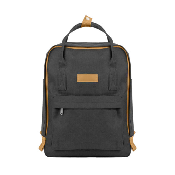 Paxton Two Tone Backpack — Paxton Two Tone Backpack