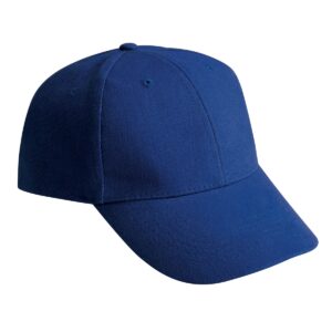 Alternative view of 6 Panel Heavy Brush