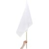 champion-large-hand-flag-900mm-x-600mm-1140829-1.jpg