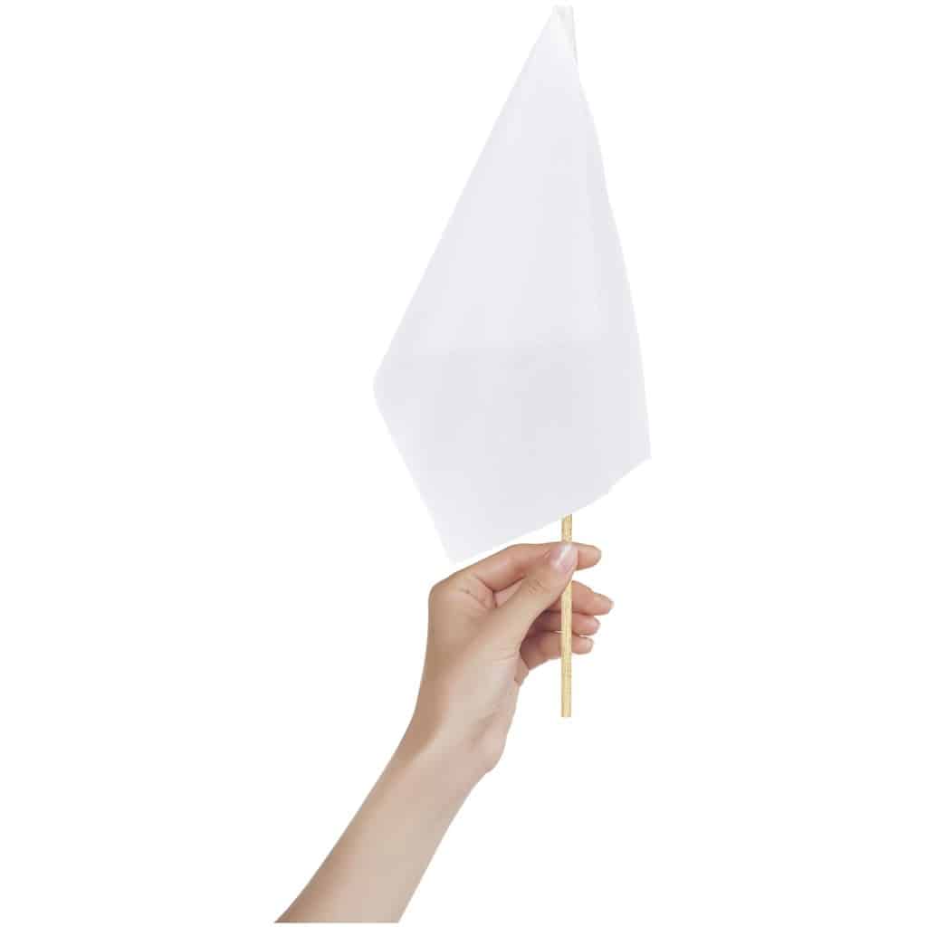 Champion Small Hand Flag 300mm x 200mm - Image 4