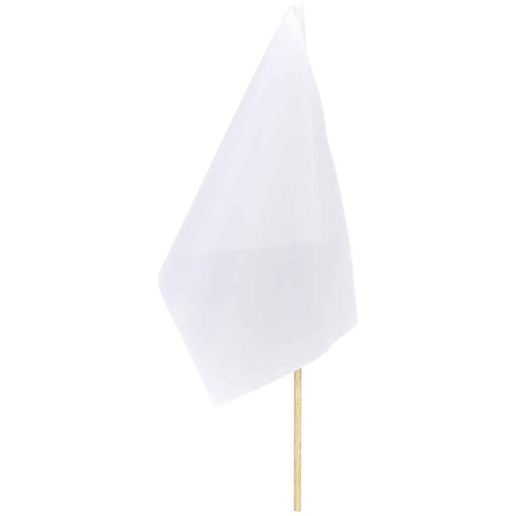 Champion Small Hand Flag 300mm x 200mm - Image 5