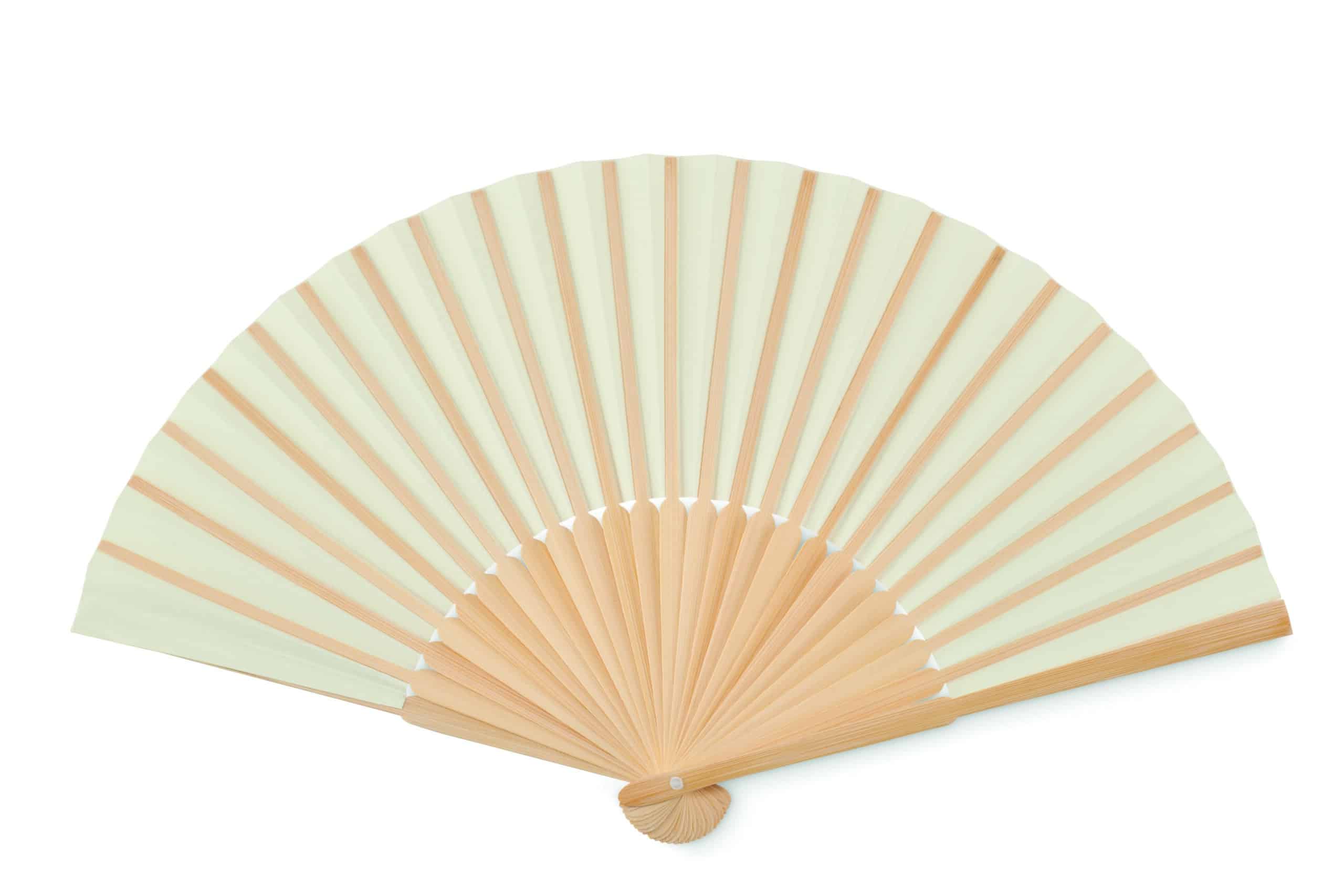 FANNY PAPER - Image 3