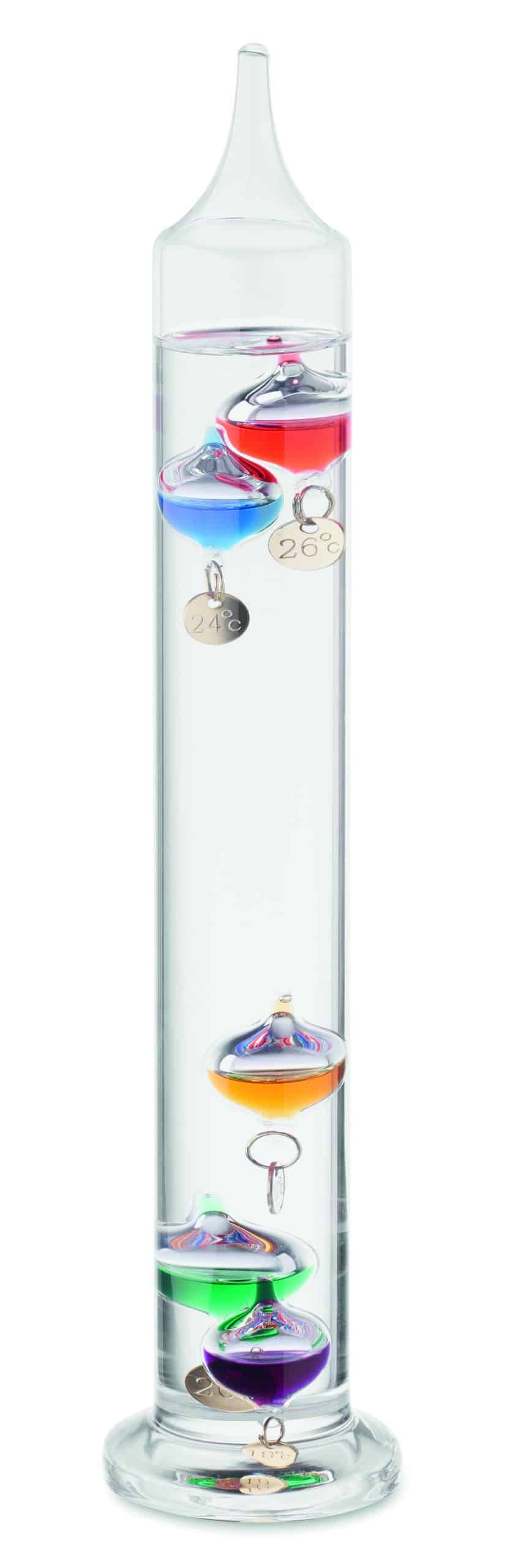 GALI - Image 5