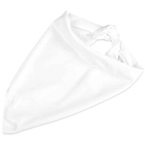 Alternative view of Hoppla Nurva Polyester Bandana