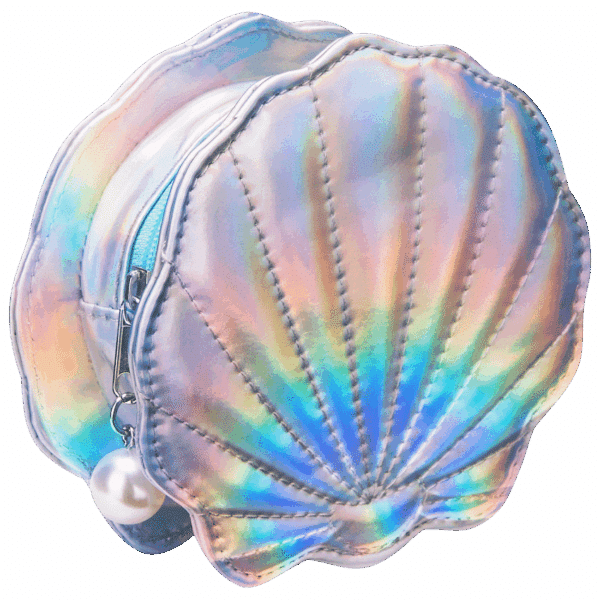 Quest Shell Coin Purse – Silver — Quest Shell Coin Purse – Silver
