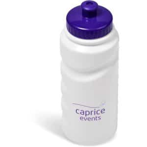 Buy Annex Plastic Water Bottle – 500ml – Purple Online