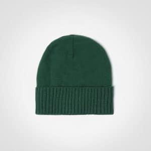 Buy FWRD Summit Beanie Online