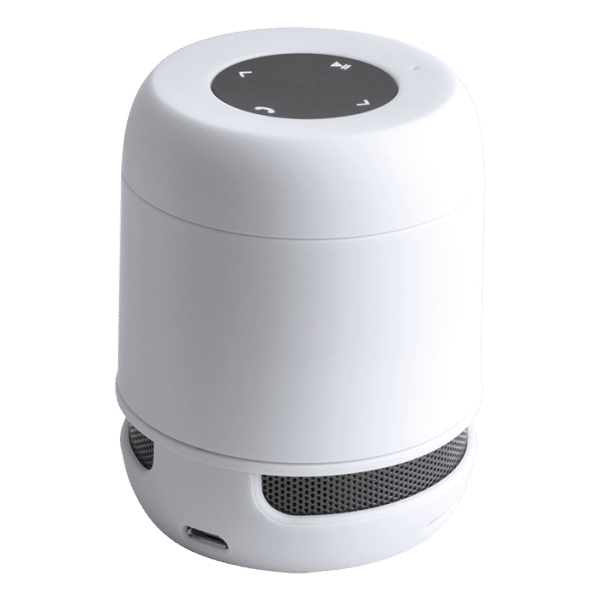 Buy Braiss Bluetooth Speaker Online