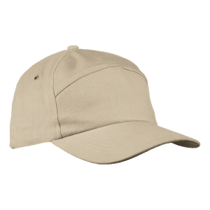 Buy 6 Panel Carbon Cap Online