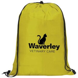 Alternative view of Altitude Daily 190T Drawstring Bag