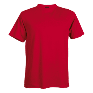 Buy Walker Birdseye T -Shirt Online