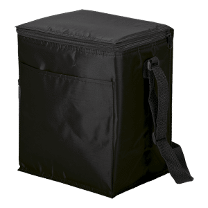 Buy 12 Can Cooler with – Exterior Pockets 70D PEVA Lining Online