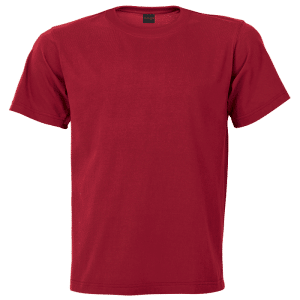 Buy 170g Barron Combed Cotton Crew Neck T-Shirt (TST170B) Online