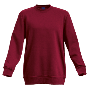 Buy Barron Basic Crew Neck Sweater Online