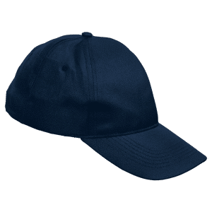 Buy 5 Panel Boost Cap Online