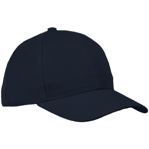 Buy 6 Panel Raven Cap Online