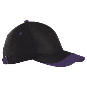 Buy 6 Panel Sway Cap Online