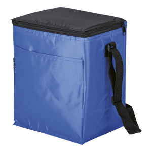 Buy 12 Can Cooler with – Exterior Pockets 70D PEVA Lining Online